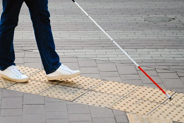 Seguridad vial para personas con discapacidad visual 1 disc visual